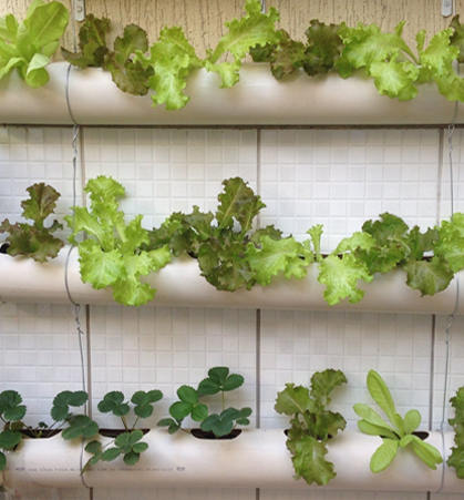 江阴市华达涤塑有限公司